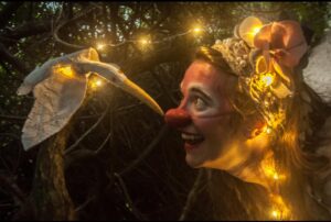 Ilha de Encantaria 5