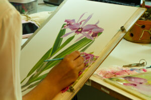 Crédito Oscar Rivas Beasley