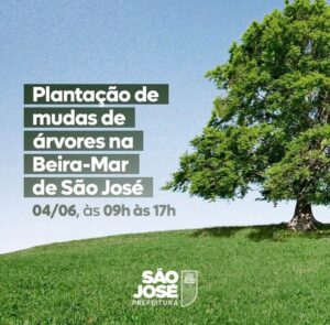 Plantação de mudas