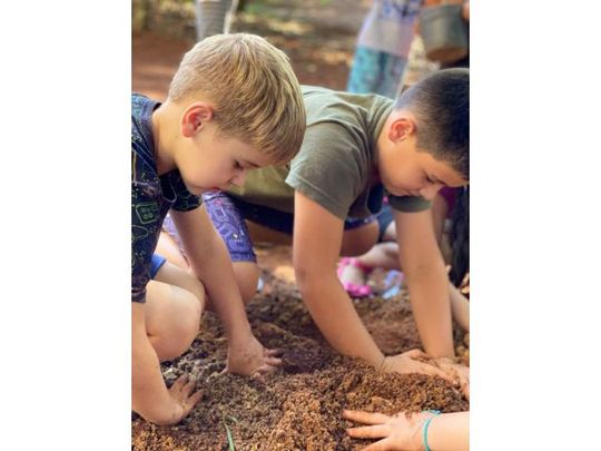semana-meio-ambiente