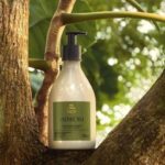 Novo Natura Ekos Andiroba traz um tratamento anti-cansaço