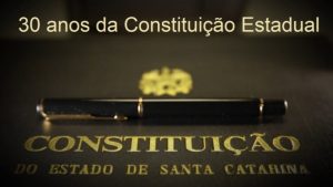 constituicao