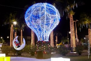 2018-11NOV-24-5D-115-IMG_8980-CREDITO
