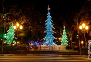 2018-11NOV-22-5D-115-IMG_8611-CREDITO
