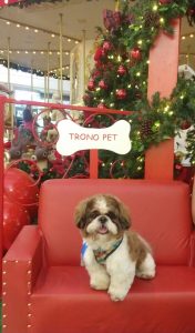 Trono Pet
