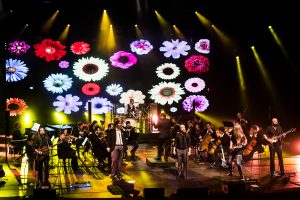 Beatles Especial Summer Festival 2019-30