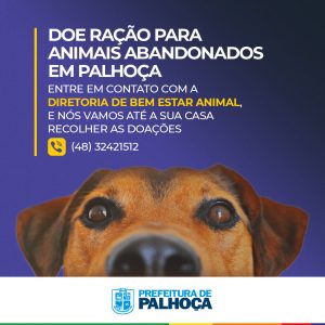 CAMPANHA
