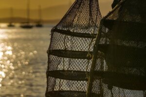 ostra_interdita