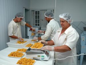 agroindustria-massa