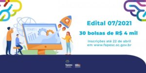 bolsas