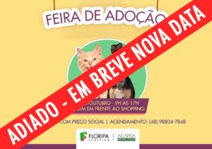 Feira