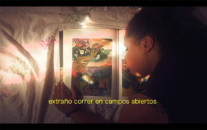 Extraño de Gabriela Novoa