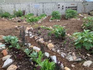 horta