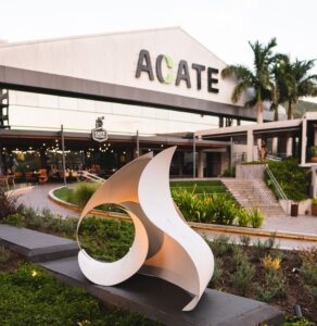 arte