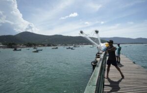 pesca