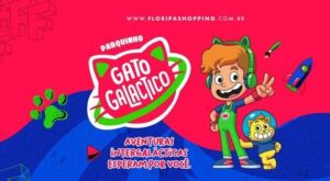 Gato