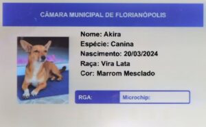 Foto Édio Hélio Ramos