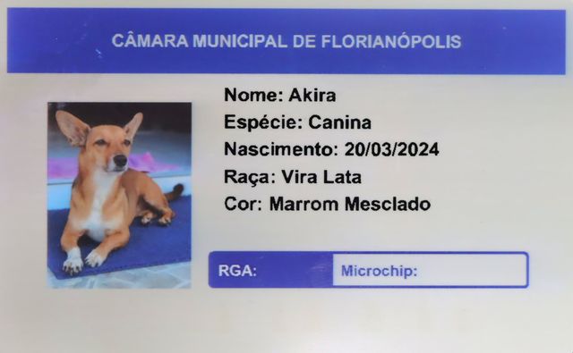 Foto Édio Hélio Ramos