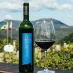 Lançamento Jolimont: o vinho Marselan agora também na Linha Reserva
