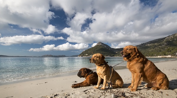 Landscapes of Mallorca