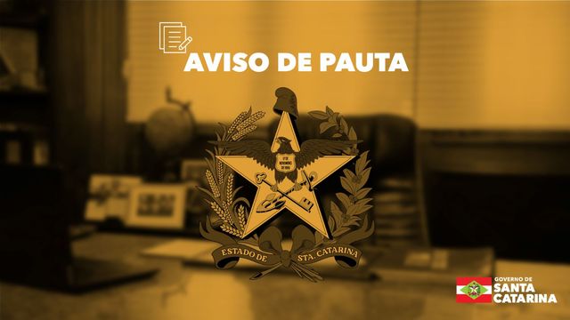 pauta