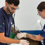 Florianópolis inaugura primeiro Hospital Veterinário Municipal com atendimento 24h