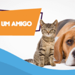 Feira de adoção de pets em Florianópolis