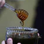 Feira do Mel de Santa Catarina em Florianópolis